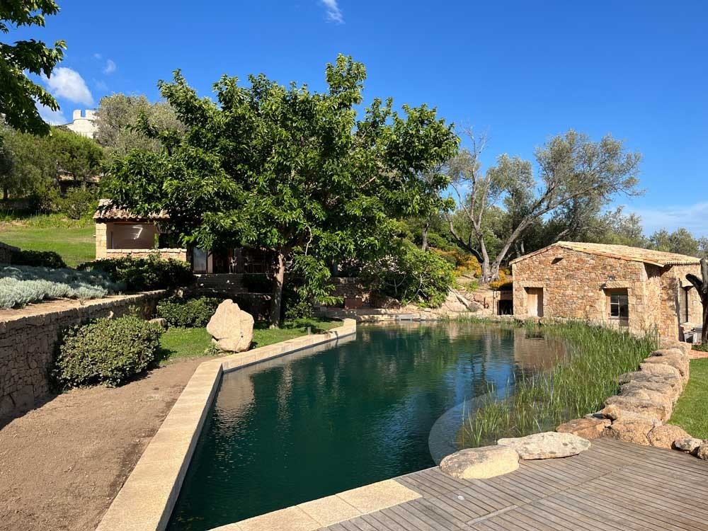Piscine avec maison en pierre et plantes dans un environnement méditerranéen